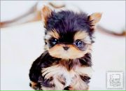 Валік Зінчук фотография #26 (источник - https://vk.com/id94820243)