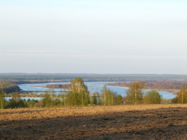 Дмитрий Cеребряков фото №21