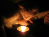 Фотография Рыжовой Светланы