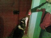 Фотография Кузахмедова Евгения