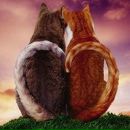 Фотография Погосян Евгении