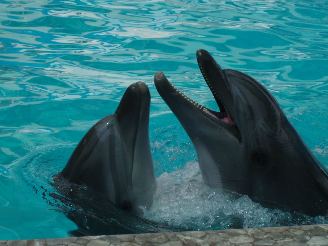 Уля Рыбченко фотография #6