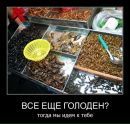 Діма Барон фотография #26 (источник - https://vk.com/id52504283)