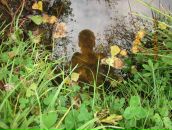 Фотография Полутиной Натальи