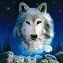 Олексій Марченко фотография #43 (источник - https://vk.com/id60406558)