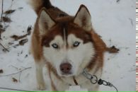 Дима Пилипчук фотография #35 (источник - https://vk.com/id20813129)