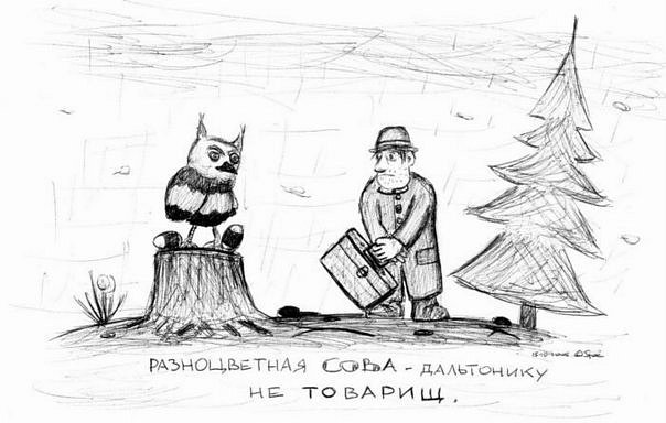  фото №42