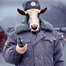 Сергій Бик фотография #19 (источник - https://vk.com/id159506350)