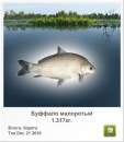 Ігор Микитин фотография #42 (источник - https://vk.com/id111819183)