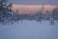 Фотография Майер Кэтрин