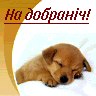 Марішка Angel фотография #31 (источник - https://vk.com/id135949861)
