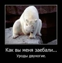Фотография Пироговой Ксении