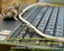 Юлія Кохан фотография #28 (источник - https://vk.com/id61339270)