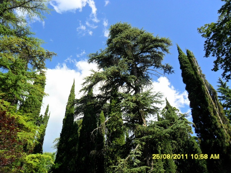 Виктор Андреев фотография #15