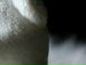 Марінка Зрайченко фотография #17 (источник - https://vk.com/id133549217)