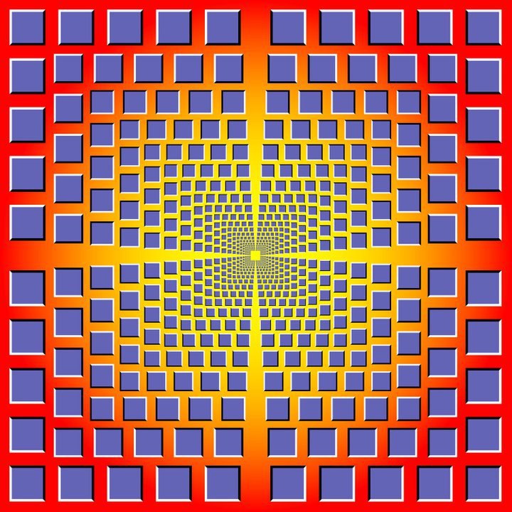 Дмитрий Каунов фотография #31