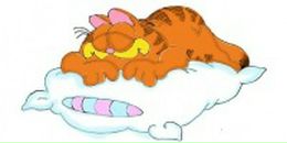 Фотография Denisov Evgeniy