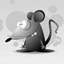 Фотография Герасимова Анна