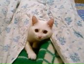 Фотография Чиковой Елены