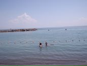 Григорий Григор фотография #19 (источник - https://vk.com/id793660)