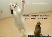 Вікторія Никитюк фотография #46 (источник - https://vk.com/id13791054)