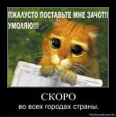 Міша Штефура фотография #35 (источник - https://vk.com/id95327870)