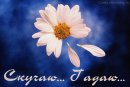 Єлизавета Павлий фотография #22 (источник - https://vk.com/id79203848)