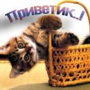 Вікуля Рудюк фотография #25 (источник - https://vk.com/id58793396)