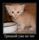 Саша Іванущик фотография #5 (источник - https://vk.com/id133212557)