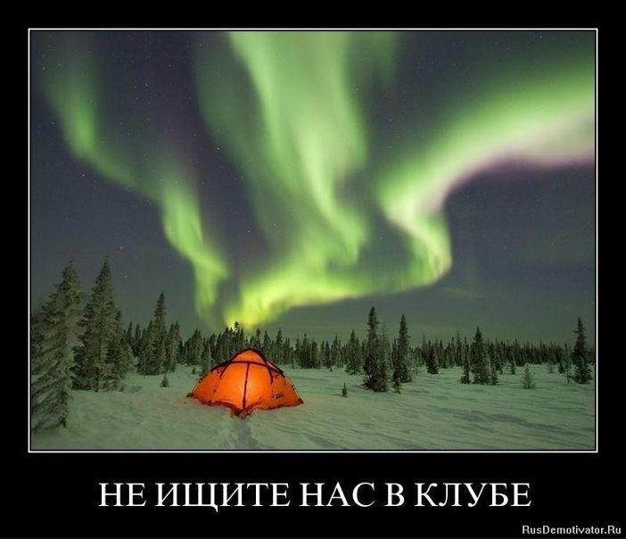 Дмитрий Гусев фото №2