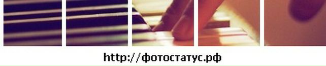 Юлія Довгань фотография #34 (источник - https://vk.com/id77696009)