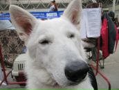 Фотография Тепановой Натальи