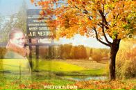 Фотография Перепелкиной Виктории