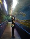 Фотография Платайс Ольги