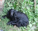 Юра Ціхоцький фотография #23 (источник - https://vk.com/id77556399)