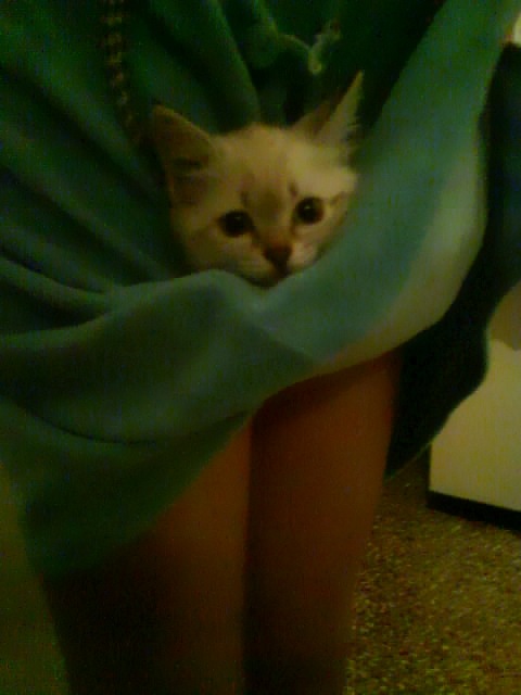 Stephenie Stephenie фотография #13