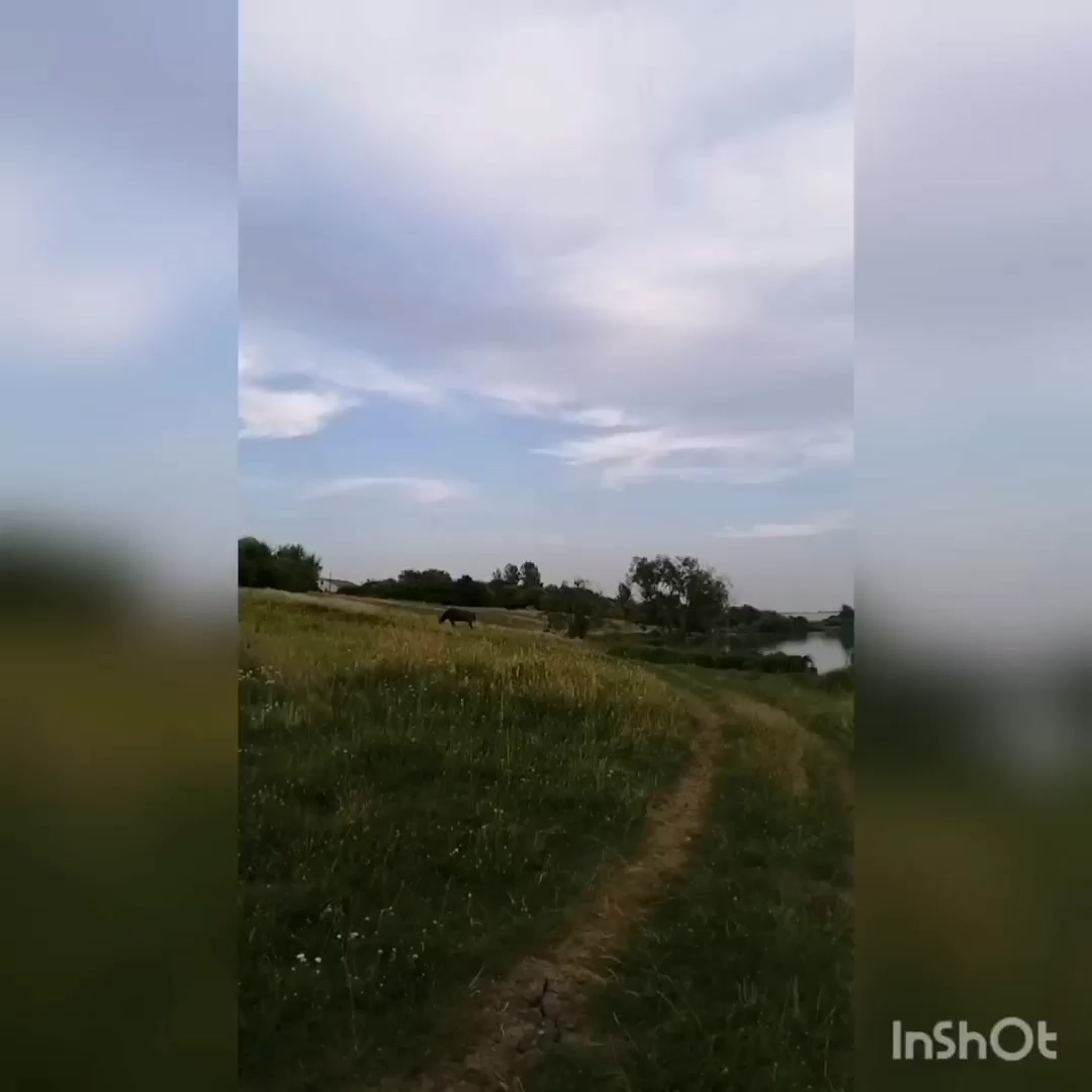 Порно На Природе 47 Порно На Природе 47